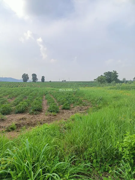 Bán 4121m2 đất cây lâu năm có view suối nước quanh năm