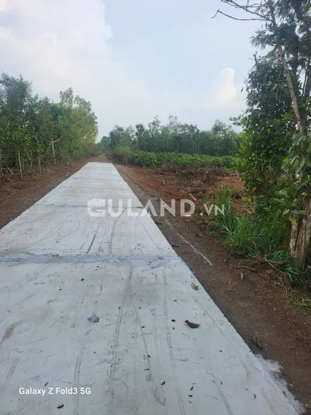 Bán đất 369m² 650 triệu tại Xã Cuor Đăng Huyện Cư M'gar