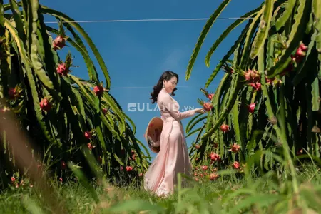 Bán đất sào nông nghiệp