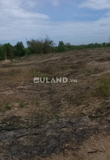 Bán đất sào giá rẻ