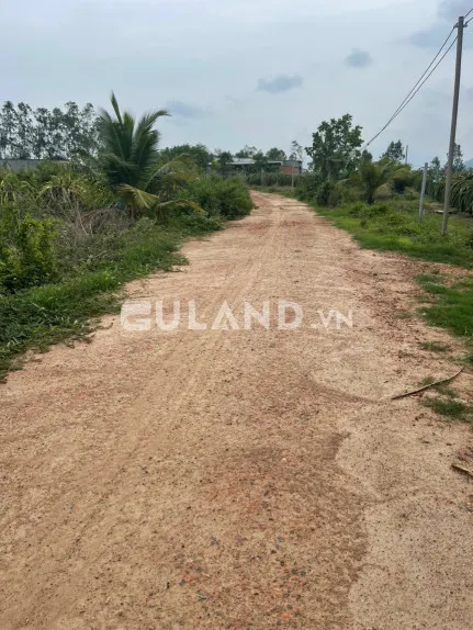 Bán đất nông nghiệp có diện tích lớn và có quy hoạch nhựa đi ngang