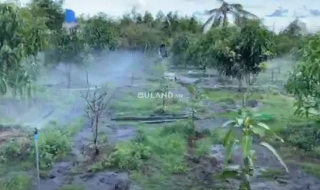 Bán đất vườn có sẵn thổ cư, mặt tiền đường đá mi, cách Lê Văn Duyệt 200m