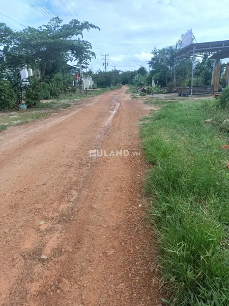 BÁN ĐẤT NÔNG NGHIỆP (CÂY LÂU NĂM) CÓ DIỆN TÍCH LỚN TẠI THỊ XÃ LAGI, BÌNH THUẬN