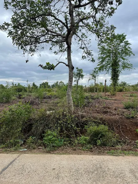 Bán  đất thổ cư 368m² , giá 900 triệu tại, Xã Cuôr KNia, Huyện Buôn Đôn, Đắk Lắk