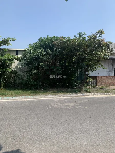 🏡CHO THUÊ🏡Đất Biệt thự gần sau dãy mặt biển Hồng Hà ,Hạ Long,Quảng Ninh