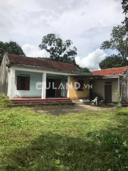 Bán Đất Tặng Hơn 5000m2 Rừng Sản Xuất