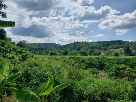 1000mv giảm 2.4 còn 2 Tỷ tại hoà khánh, đất view đẹp