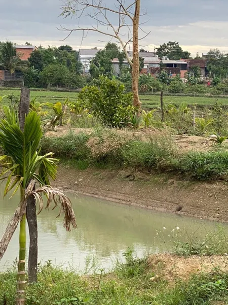 Bán  đất nông nghiệp 10215m² , giá 2.2 tỷ tại, Xã Tân Hoà, Huyện Buôn Đôn, Đắk Lắk