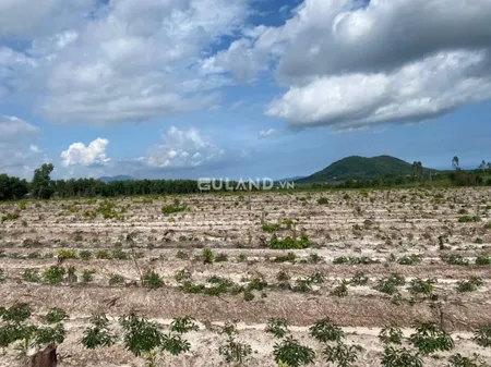Bán đất mẫu nông nghiệp có mặt tiền đường nhựa và mặt hậu có kênh nước