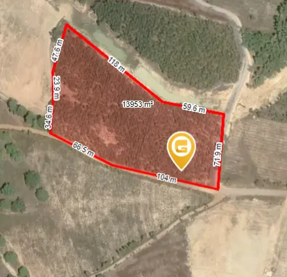 Bán đất 12000m² 2.5 tỷ tại Xã Tân Hà Huyện Hàm Tân