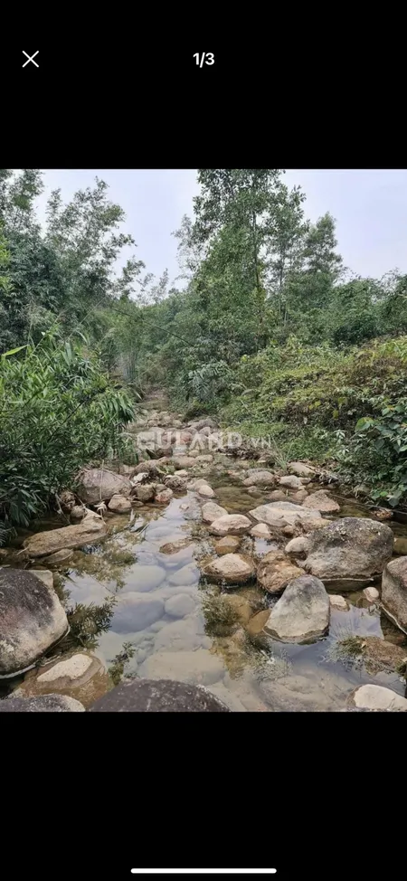 Đất Thổ Cư Diện Tích Rộng - Hoành Bồ