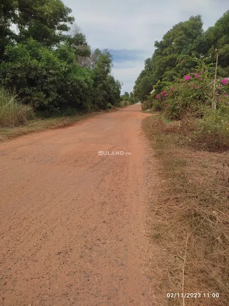 Bán nhà 50.000m² 4.9 tỷ tại Xã Sông Lũy Huyện Bắc Bình