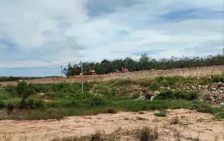 Bán  đất nông nghiệp 33000m² , giá 5 tỷ tại đường Số 6, Xã Tân Đức, Huyện Hàm Tân, Bình Thuận