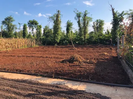 Bán  đất thổ cư 108m² , giá 485 triệu tại, Xã Ea Tiêu, Huyện Cư Kuin, Đắk Lắk
