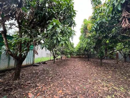 Lô biệt thự 15*22 , giá 2.3 tỷ tại, Xã Ea Kao, Thành phố Buôn Ma Thuột, Đắk Lắk