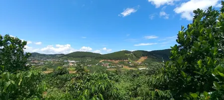 Bán  đất thổ cư 7000m² , giá 27 tỷ tại, Xã Mê Linh, Huyện Lâm Hà, Lâm Đồng