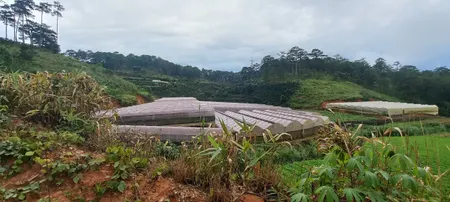 Bán  đất nông nghiệp 35000m² , giá 45 tỷ tại, Xã Xuân Thọ, Thành phố Đà Lạt, Lâm Đồng
