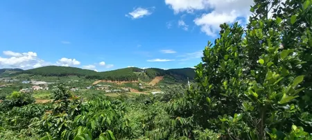 Bán  đất nông nghiệp 1491m² , giá 6 tỷ tại đường Tập Đoàn 3, Thành phố Đà Lạt, Lâm Đồng