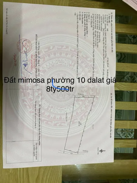 Bán  đất nông nghiệp 2841m² , giá 8.5 tỷ tại đường Mimosa, Phường 10, Thành phố Đà Lạt, Lâm Đồng