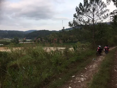 Bán  đất nông nghiệp 55000m² , giá 66 tỷ tại đường Mimosa, Phường 3, Thành phố Đà Lạt, Lâm Đồng