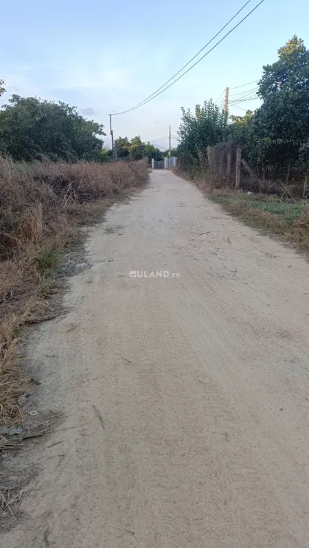 Bán đất mẫu nông nghiệp gần khu dân cư