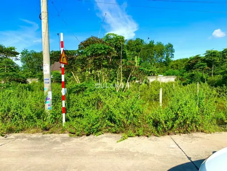 (L341) Đất gần Nguyễn Văn Khạ, xã Tân An Hội, dt 152,5m2, chỉ 2 tỷ