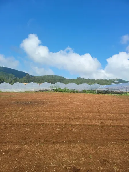 Bán  đất nông nghiệp 9300m² , giá 190 tỷ tại đường Vạn Thành, Phường 5, Thành phố Đà Lạt, Lâm Đồng