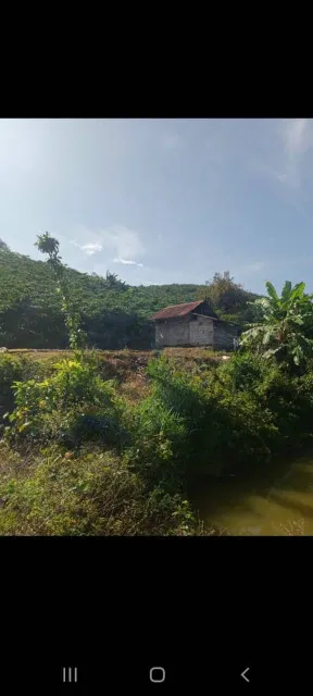 Bán  đất nông nghiệp 7800m² , giá 3.7 tỷ tại, Xã Lộc Thành, Huyện Bảo Lâm, Lâm Đồng