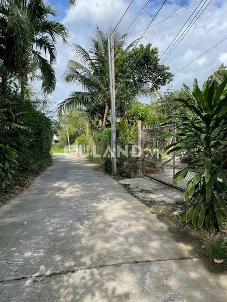 Bán đất xã Diên thạnh,
