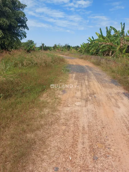 (B338) (Đã bán )  Đất mặt tiền Sông Sài Gòn, xã Trung An, dt 1923m2, thổ cư 500m2, đất ở khu dân cư, chỉ 6 tỷ