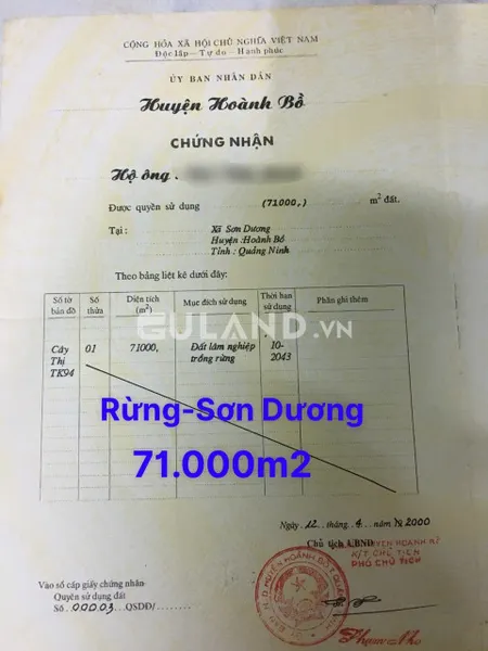 ĐẤT TRỒNG RỪNG - XÃ SƠN DƯƠNG