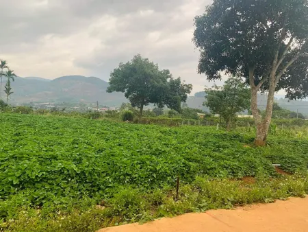 Bán  đất nông nghiệp 502m² , giá 1.8 tỷ tại, Xã Đông Thanh, Huyện Lâm Hà, Lâm Đồng