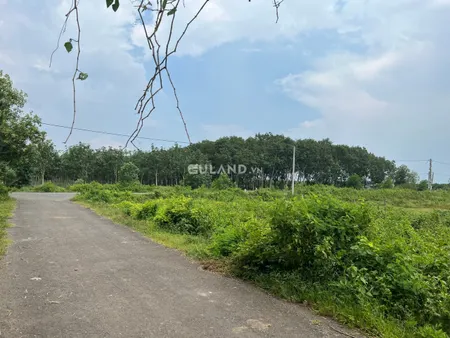Bán lô đất vườn vuông vức giá rẽ. Xã tân lâm