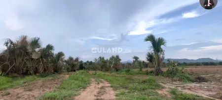 Bán 7,4ha đất nông nghiệp bằng phẳng, có vườn trái cây, giá rẻ