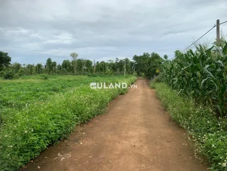 CHÍNH CHỦ CẦN BÁN GẦN 1 SÀO TẠI CƯ SUÊ THÔN 2 - ĐÂT RẺ THỔ CƯ 120