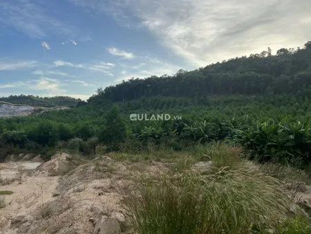 Bán nhà 60000m² 5 tỷ tại Xã Tân Đức Huyện Hàm Tân