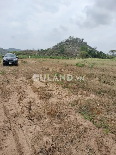 Bán 2,2ha đất bằng phẳng, nông nghiệp, nhiều mặt tiền đường hiển thị số, giá đầu tư