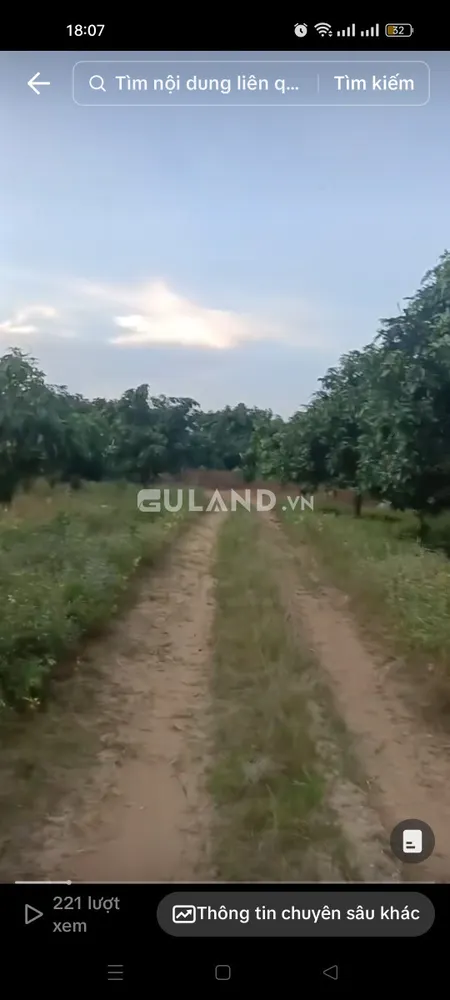 Bán đất full vườn cây ăn trái 90000m² 54 tỷ tại Xã Tân Phúc Huyện Hàm Tân