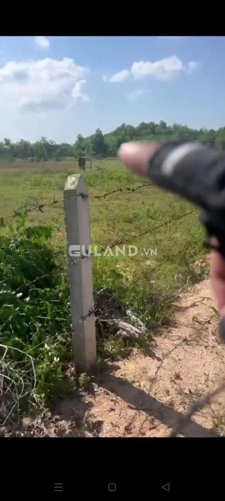 Bán đất nông nghiệp gần khu du lịch Cam Bình, Lagi.