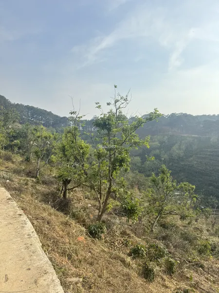 Lô đất giá quá ngộp