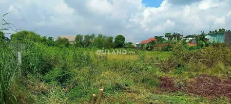 (L461) (Đã bán)  Đất gần Chợ Trung An, đường thông, DT 1000m2, thổ cư 766m2, chỉ 3 tỷ 700