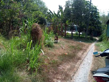 -Bán Đất Xã An Nhơn Tây, Huyện Củ Chi.TPHCM