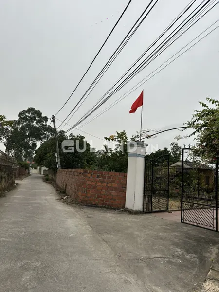 Ngõ oto chỉ vài trăm triệu hơn trăm mét