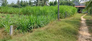 Bán bán  đất thổ cư 167m² , giá 520 triệu tại, Xã Mỏ Công, Huyện Tân Biên, Tây Ninh