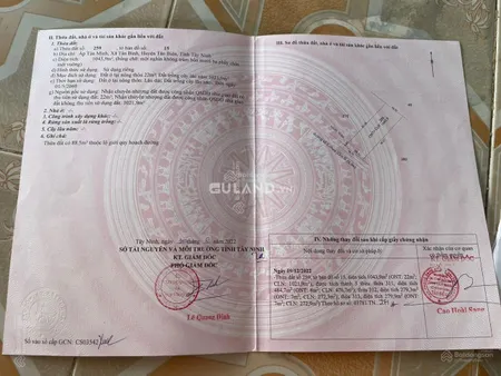 Bán đất đường số 5 xã Tân Bình Tân Biên Tây Ninh. Đường nhựa lớn dân cư đông đúc, gần 500m2