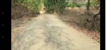 Bán hơn 2ha đất nông nghiệp bằng phẳng, đất tốt