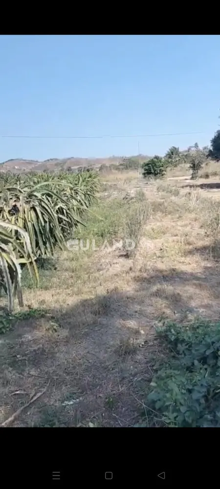 Bán 2,34ha đất nông nghiệp có mặt tiền đường bê tông và thành long đang thu hoạch