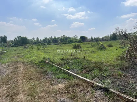 Bán 2Ha đất có 600 thổ cư. Đường Đoàn minh triết.
