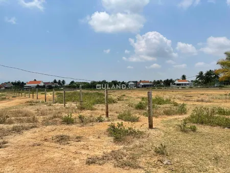 Mở bán 10 lô thổ cư 100% phường Ninh Giang  📍TDP Phong Phú 2,phường Ninh Giang,tx Ninh Hoà,tỉnh Khánh Hoà. ❗️Hiện trạng đường đất quy hoạch 12m, khu dân cư đông đúc, gần trường mầm non, trạm y tế phường , lô đất đẹp bằng phẳng, ranh giới rõ ràng. ⚡️ Diện 