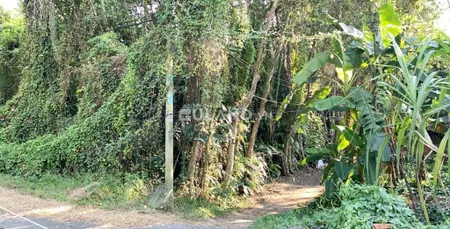 Đất thổ cư giá rẽ đường đổ văn Dậy. Xã Tân Hiệp